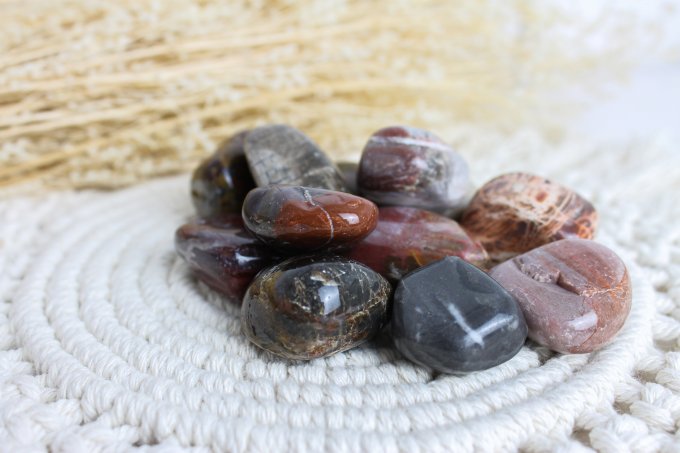 Pierre roulée Bois fossile