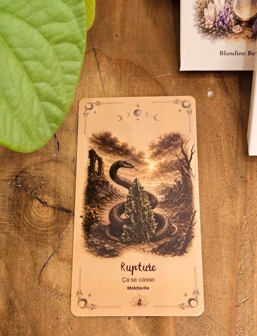 Oracle des âmes sauvages