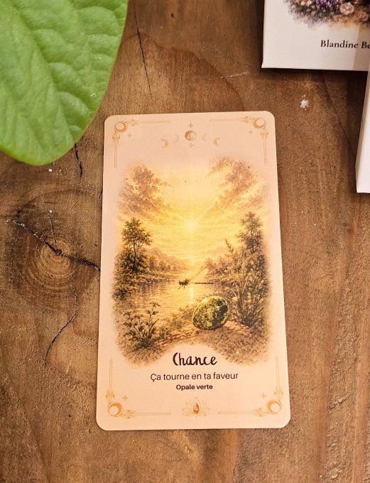 Oracle des âmes sauvages