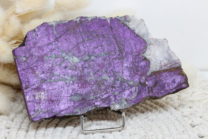 Tranche de Purpurite