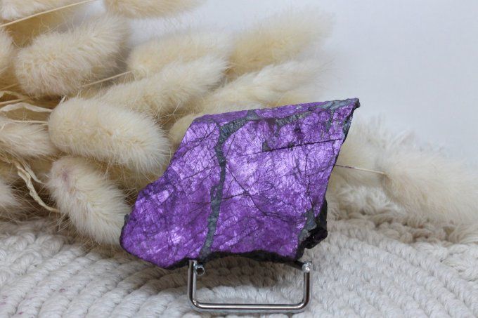 Tranche de Purpurite