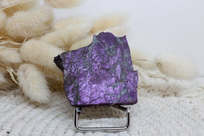 Tranche de Purpurite