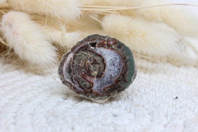 Lithophyse de l'Esterel