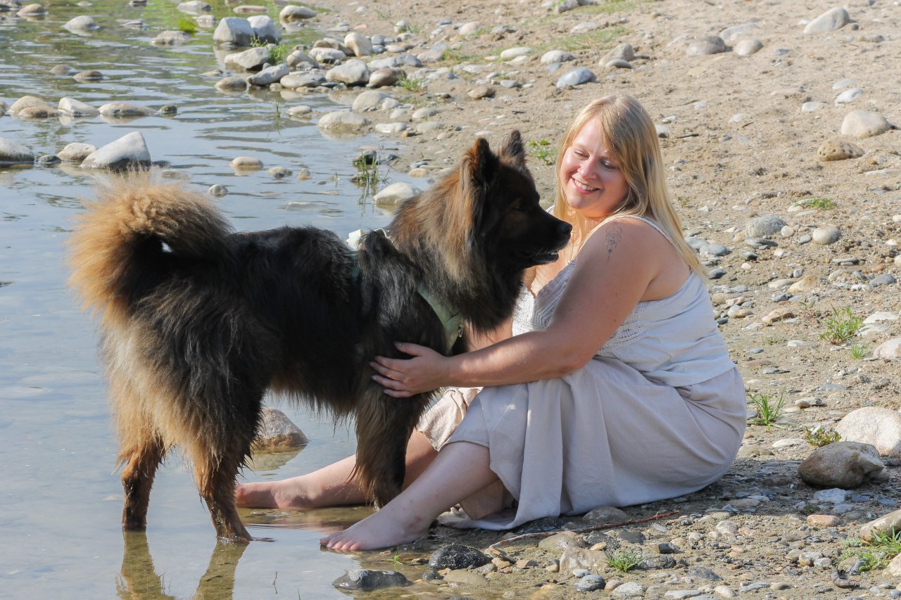 Accompagnement des animaux